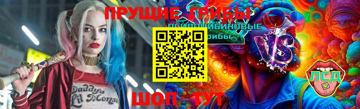Галлюциногенные грибы Cubensis Пермь
