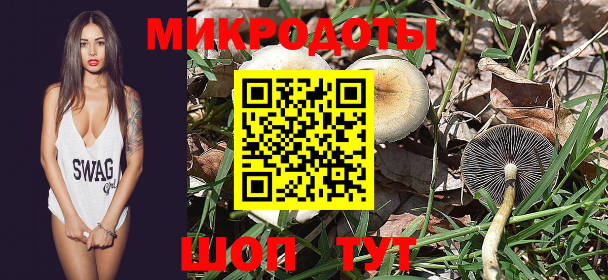 Пермь  Псилоцибиновые грибы Psilocybine cubensis  Вход с VPN  Галлюциногенные грибы ЛСД 